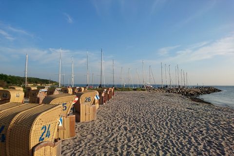 Het eiland Poel, de jongste badplaats in Mecklenburg, biedt zowel rustige en idyllische natuurlijke stranden als lange en brede witte zandstranden aan zijn gasten.Het appartement is gelegen in Kirchdorf. Kirchdorf is de centrale plaats op het eiland ...