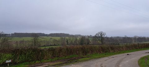 photo no. 1