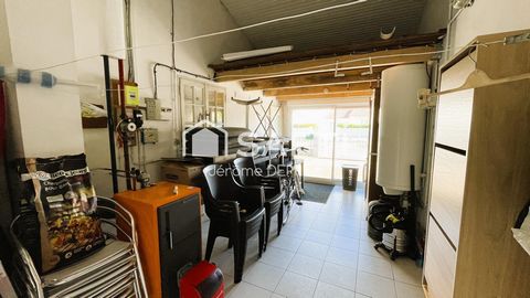 photo no. 8