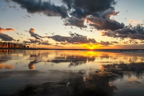 Cet appartement joliment meublé au 9ème étage offre une vue imprenable sur la mer et constitue le refuge idéal pour les familles ou les amis, pouvant accueillir jusqu'à 4 personnes. L'espace de vie ouvert est conçu pour le confort, avec un coin salon...