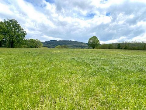 Zum Verkauf steht ein sehr schönes Bauland von 1'324 m2 mit atemberaubender Aussicht auf den kleinen Berg. Das Hotel liegt im Herzen von Saint Amour, 30 Minuten von Lons le Saunier - 50 Minuten von Lyon und 1 Stunde von Genf entfernt. Verkaufspreis: ...