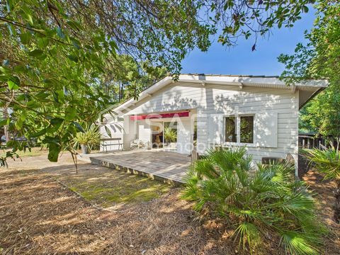 À vendre – Chalet Rousseaux à Lège-Cap-Ferret, parcelle exceptionnelle de 1015 m² à deux pas de la plage