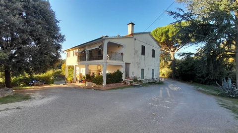 Manciano (GR) – In posizione riservata e panoramica, a soli 20 minuti dal mare, casa di campagna su due livelli composta da: • Piano terra: sala ristorante, cucina, bar e servizi per un totale di 170 mq circa. Completano il piano una veranda chiusa a...