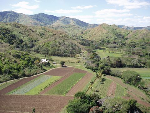Här är din en gång i livet möjlighet att äntligen fly till paradiset och ha din egen vackra bondgård, redan etablerad, där du kan leva ut ditt drömliv och gå off grid om du väljer. Med 350 hektar i den bördiga Sigatoka-dalen, känd som Fijis 