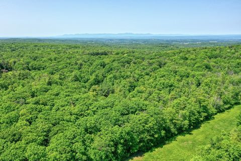 Over 84 acres of vacant land bordering scenic Wadsworth Hill And Old Gale Hill Road. Rolling land with far reaching views. A quiet country property and lovely surrounding areas. Perfect acreage for hiking, exploring, and building your home or family ...