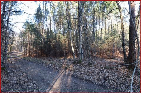 Your real estate advisor Emmanuel JEANNEAU ... ... offers plots of wood with a total area of 1.7 ha. The first is 8800m2 and the second is 8850m2. Easy to access by forest roads in good condition. They are located 2 minutes out of the town of continv...