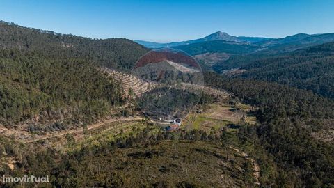 Farm composed of housing, agricultural land and forest land House of ground floor and floor, for restoration 110m2 of gross construction area Land with 42.119m2 Spring water Located next to the Ecopista do Tâmega 5 minutes from the access to the Celo...