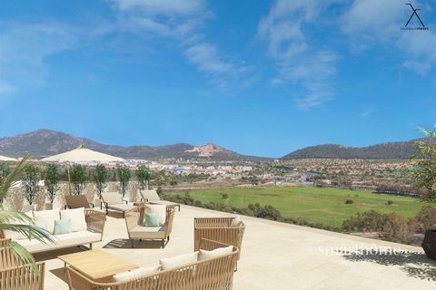 Spectacular apartment of 263 m2 located in the prestigious area of Santa Ponsa, for sale.The property has 4 bedrooms 3 bathrooms (2 of them en suite) fully equipped kitchen, terrace of 108 m2, elevator, communal garden, community swimming pool.Extras...