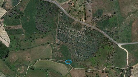 Pinhal da Moura with about 3600m², walled on the edge of the public road, for sale in Moimenta da Serra in the municipality of Gouveia in Serra da Estrela. Great opportunity for the acquisition of rustic land that can easily be transformed into culti...