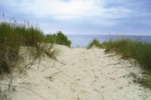 Maison exclusive - à seulement 100 m de la plage de sable fin, dans la ceinture de dunes, directement sur la forêt côtière. Grâce au rivage en pente douce, même les plus petits peuvent barboter dans l'eau et jouer dans le sable. La longue plage d'Use...