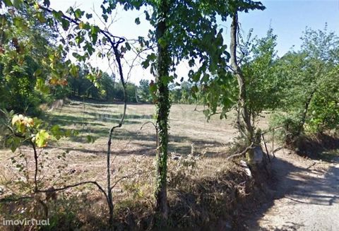 Land for construction with 8,500 m2 in Cepães Construction land for several villas, with road front and with an area of 8,500 m2, located 4 km from the city of Fafe. Union of parishes of Cepães and Fareja Until the liberal reforms of the 19th century...