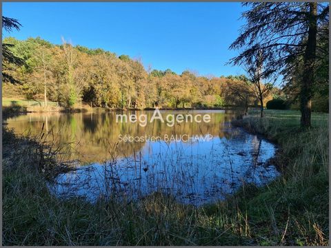 Situé non loin de Châtellerault, venez découvrir ce lieu plein de charme. Vous aimerez flâner au bord de ce bel étang d'environ 5000 m2 et vous ressourcer au pied des majestueux chênes, et autres essences de bois. Et si l'envie vous prend de vouloir ...