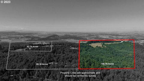 Amazing 160 acre parcel overlooking the heart of the Willamette Valley. Located approximately 21 miles from Eugene Airport and 21 miles from the heart of Corvallis, this property offers timber, pasture land and an abundance of wildlife with million d...