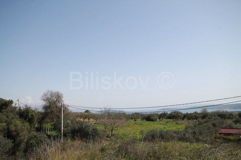 Kaštel Štafilić, Plano Building land in Plano near Trogir Total land area: 1,623 m2 Approx. 700m2 construction land and the remaining 900m2 agricultural land.   Land dimensions approx. 24 x 68m Land of regular shape, maintained. Access: 4-5 m wide as...
