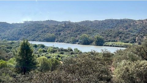 On the river Guadiana. Land with a total area of 87.6 ha, consisting of dryland culture and with 640 m2 of an urban plot with construction outline feasibility. Area of high potential with the new bridge connecting Portugal with Spain. The work on the...