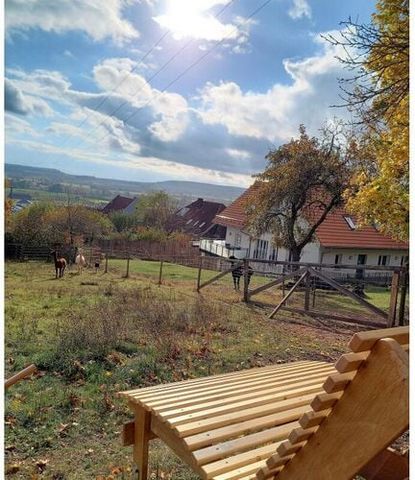 Visit our new holiday apartments in beautiful Baudenbach. Our holiday apartment on the top floor is really cozy and offers a wonderful view of the Franconian gently hilly landscape. In addition to a spacious shower room, this apartment offers an addi...