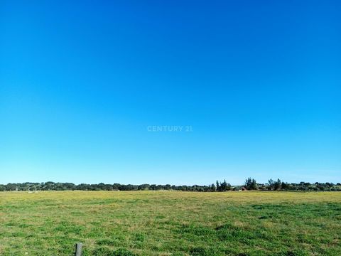This piece of land, located next to the N243 in Santa Eulália, is an excellent opportunity for those looking for a large and well-located space. With 7.5 hectares, it is ideal for young farmers who want to pursue the sector or produce hay to suppleme...