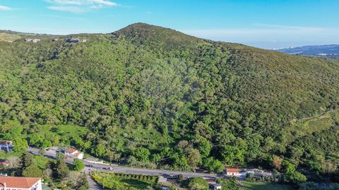 Rustic land with 14.640m2 in Vera - Lousa (Loures) Sloping land It has a waterfall Located at the top of the mountain Access to the land from the top of the mountain   PDM: - natural spaces (REN)   Come and visit!! FM   Location: https://maps.app.goo...