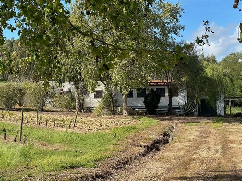 We present Quinta Vale do Tojo, located in Vila Ficaia, in the parish of Ramalhal, in the municipality of Torres Vedras, in a private area and in the quiet countryside, but close to the region's beaches, 15 minutes from Torres Vedras, 20 minutes from...