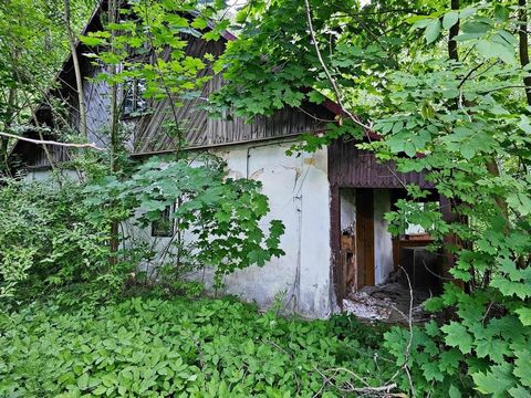 Siedlisko w Karczmiska - a house and an outbuilding on a large plot in the city center A wooden house to be renovated and a wooden outbuilding on a plot of just over 18 ares. Quiet location - less than 50 km from Lublin, only 10 km from Opole Lubelsk...