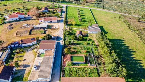 A true paradise in central Portugal. Farm in Casével, Santarém with 25,800 m2 with a two-storey house with 9 rooms, currently with 6 bedrooms, two living rooms and a kitchen. An annex with a fireplace, barbecue and kitchen to gather friends and famil...