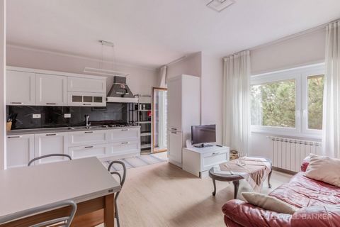 Serafico - Laurentina - we are pleased to offer for sale a completely renovated apartment, located on the fourth floor, with a pleasant terrace surrounded by the surrounding greenery - complete with parking space in the garage and private cellar. The...