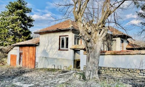 SUPRIMMO agency: ... We are pleased to offer for sale a brick house in a village 40 km. from Fr. Veliko Tarnovo. The settlement is and only 15 km from the town of Strazhitsa is one of the largest in the municipality. With well-developed infrastructur...