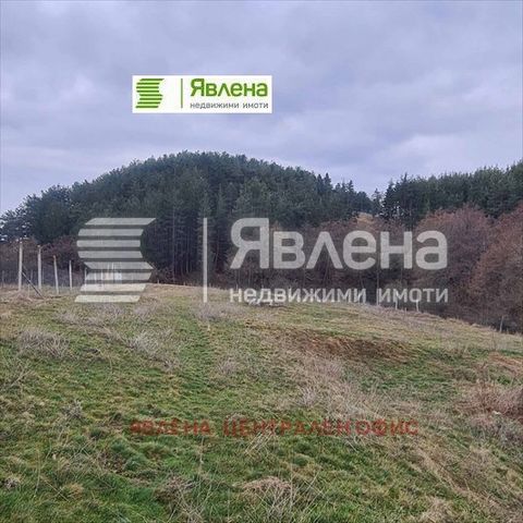 Plot for sale in Velingrad!! The plot with an area of 7000 sq. meter is an ideal place for the development of various projects, thanks to its own mineral spring. With its large size and unique natural resources, this plot provides many opportunities ...