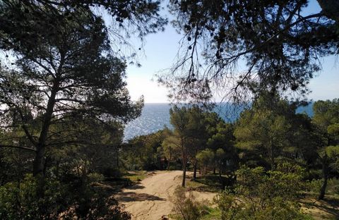 In the heart of Tamariu, an exclusive spot on the Costa Brava. Unique opportunity to acquire this plot, one of two available for sale, which offers the combination of a unique location with sea and mountain views. Located just 200 meters from the coa...