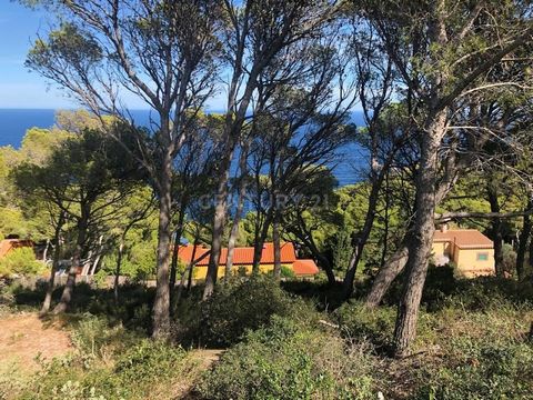 We offer you 3 plots of non-urban land in the Aiguafreda area (Begur). Just 5 minutes from Cala Sa Tuna and Cala Aiguafreda. With a total of 10,038 m²: · Plot 23 - 5,503 m² · Plot 22 - 2,735 m² · Plot 20 - 1,800 m² Plots requalified to protected for ...
