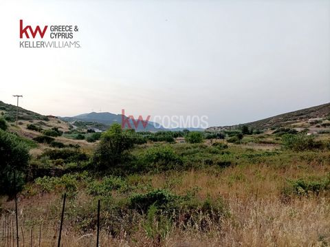 Exclusively available for sale through our agency at an exceptionally competitive price, a cultivable plot of one acre, fully enclosed, with asphalt access, and in close proximity to Agioi Apostoli, Euboea, as well as the 