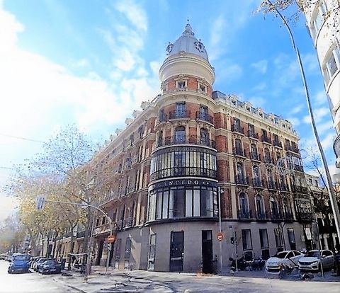 Madrid, the captivating capital of Spain, affectionately known as la Villa y Corte, radiates an exciting energy and diversity that sets it apart in the heart of the Iberian Peninsula. This vibrant and eclectic city is not only the nerve center of Spa...