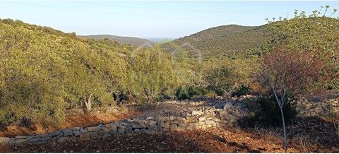 Sehr gepflegtes rustikales Grundstück mit Meerblick in Azinheiro, Estoi. Rustikales Anwesen mit einer Gesamtgrundstücksfläche von 3.280 m2 m2, bestehend aus Anbauflächen mit Mandel-, Johannisbrot- und Olivenbäumen. Mit mäßiger Steigung und Zugang auf...