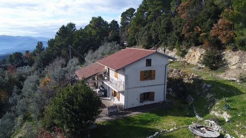 En el corazón de las colinas de Terni, en el municipio de Montefranco, ofrecemos a la venta una espléndida villa individual, rodeada por un encantador bosque de aproximadamente 1,5 hectáreas. El acceso a la propiedad se realiza a través de un encanta...