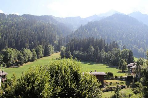 Ce charmant appartement de 52m² est situé dans une résidence calme de 8 appartements, nichée dans la Vallée des Confins à La Clusaz. Situé à seulement 1 km du centre-ville et à seulement 150 mètres du retour des pistes de Balme, il offre un accès fac...