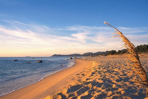 Villas y casas adosadas bien cuidadas y cómodas de estilo mediterráneo con su propio jardín en medio de la vegetación mediterránea en la popular Costa Rei de aproximadamente 10 km de largo en el sureste de Cerdeña. La amplia playa de arena es ideal p...