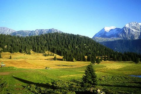 Este acogedor apartamento de dos habitaciones está situado en la residencia de Chamrousse 1750 (Roche Béranger), idealmente situada a pocos pasos de las pistas y de las tiendas. El apartamento de la planta baja, de 35 m², está orientado al oeste y of...