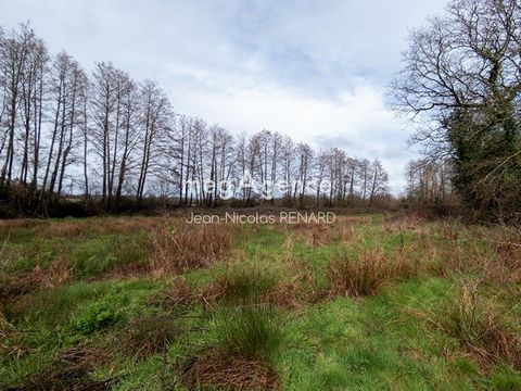 Situé à 5 min de la commune d’AUBIGNY-LES-CLOUZEAUX, à 2 min de Nieul-le-Dolent, 20 min de la Roche-sur-Yon et des plages, découvrez ce bel espace naturel en pleine campagne avec accès rapide à toutes commodités. Son environnement verdoyant s’étend s...