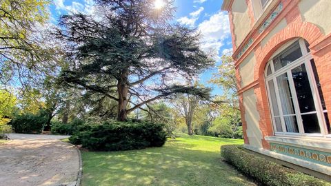 photo no. 15