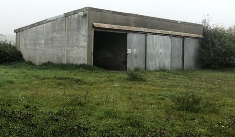 photo no. 2