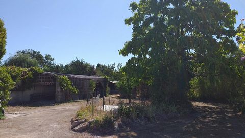 photo no. 6