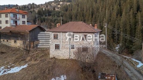 Wir präsentieren Ihnen ein zweistöckiges Steinhaus im rhodopen Dorf Kutela, Gemeinde Smoljan. Es liegt 20 km entfernt. von Smoljan, 25 km. von Pamporovo, 10 km. von Momchilovtsi und 6 km. aus dem Ortskern 'Haiduschki Poljani'. Das Haus hat eine bebau...