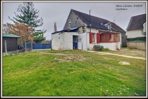photo no. 1