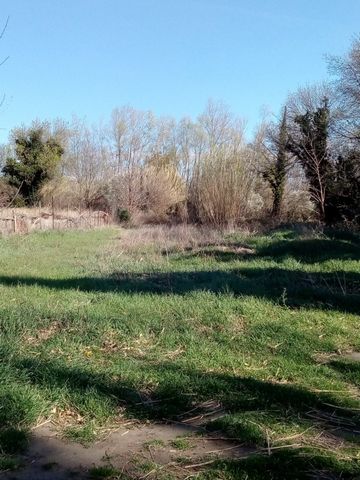 Tout près de Perpignan terrain de loisir arboré et sans vis à vis