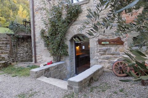 Dit vakantiehuis heeft 2 slaapkamers en is geschikt voor 6 personen, ideaal voor gezinnen met kinderen. Het landgoed ligt midden in de natuur van Toscane, op 2 km van het dichtsbijzijnde dorpje. Het landgoed is gelegen in de middeleeuwse stad van Ser...