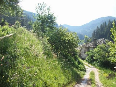 TEL: ... ; 0301 69999/ WIR BIETEN EIN GRUNDSTÜCK VON 310 M² ZUM VERKAUF AN. IM SCHÖNEN RHODOPE-DORF SHIROKA LAKA AN EINEM RUHIGEN UND SONNIGEN ORT, DER VON WALD BEGRENZT IST. IN DER NÄHE ALLER KOMMUNIKATIONEN. MIT DER MÖGLICHKEIT DER KONSOLIDIERUNG B...