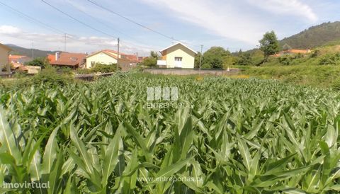 Sale of construction land with 1422m2 located in the parish of Lanhelas, in the municipality of Caminha. At the level of the municipal master plan of the municipality of Caminha, the land is located - is located in an area called Urban Space of Low D...