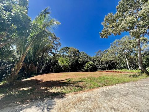 As you explore Roatan for your next expenditure with seclusion and convenience in mind, Dixon Cove is your location. As you make your way to this parcel there are paved roads about 70% of the way with future plans of continuing paved roads to this lo...