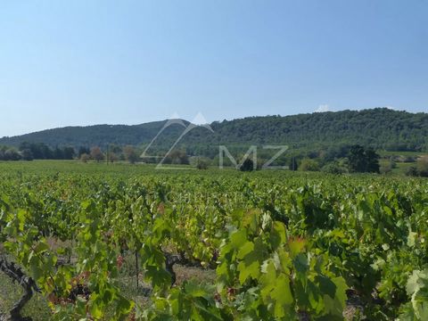 The Moulin du Pourpré estate is located in the heart of the Côtes du Rhône terroir, in the commune of Sabran, in the southern Rhône valley. This family estate, which has been in the family for more than 10 generations, covers approximately 22 hectare...
