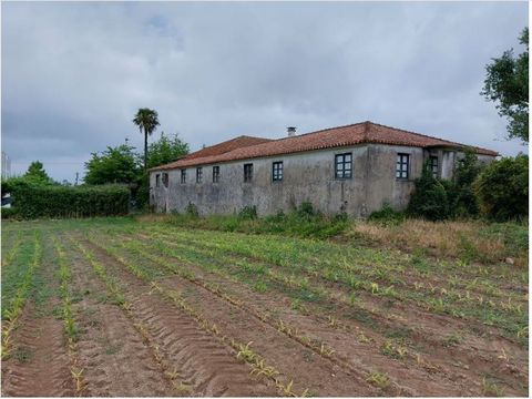 T6 Farmhouse with coat of arms and 4316 m2 of land. Possibility of building on the land adjacent to the house. Excellent location, next to Barcelos Roman bridge, 5 minutes from Barcelos city center. 50 minutes from Porto City Airport. Excellent acces...